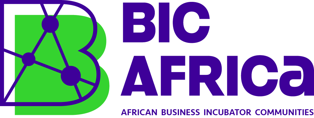 bic-africa-ebn-innovation-network